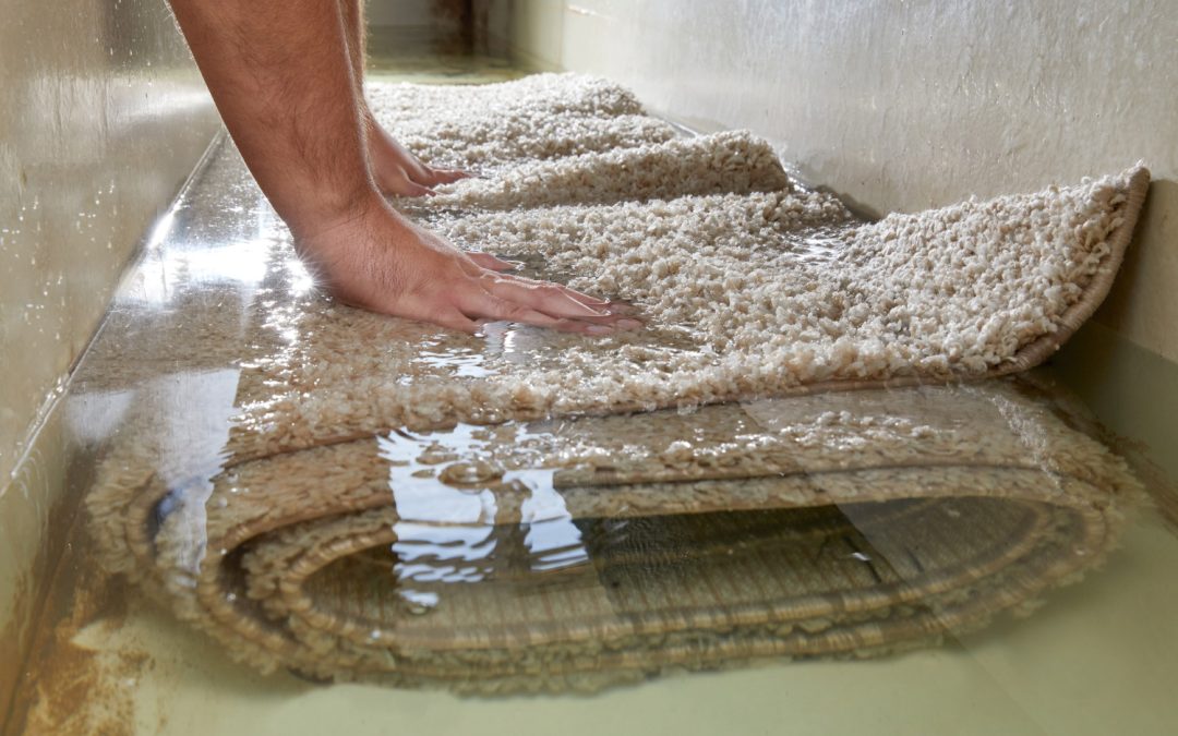What To Do When Your Carpet Gets Soaked From Water Damage