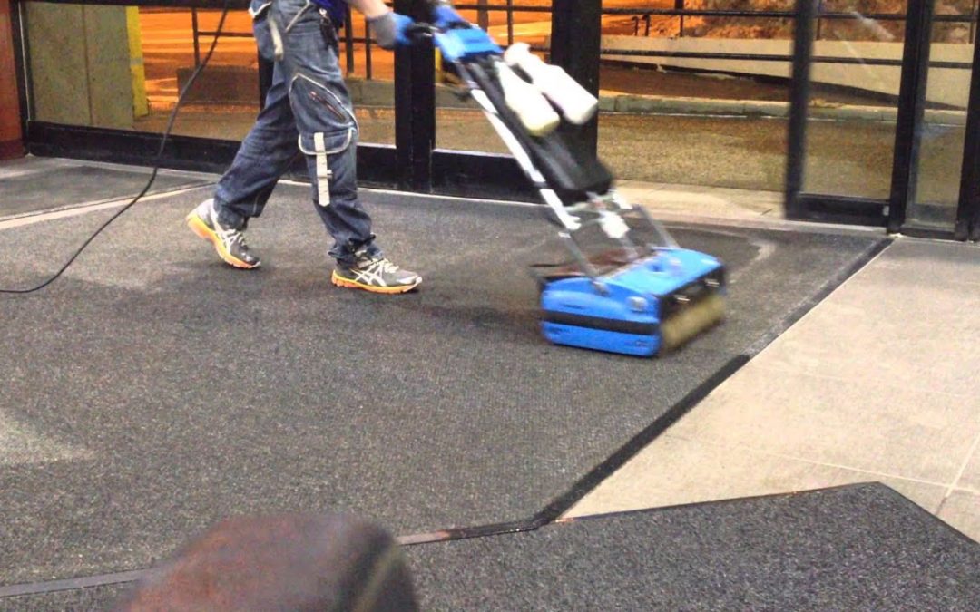 What Are the Benefits of Commercial Carpet Cleaning for Businesses in Tigard, OR?