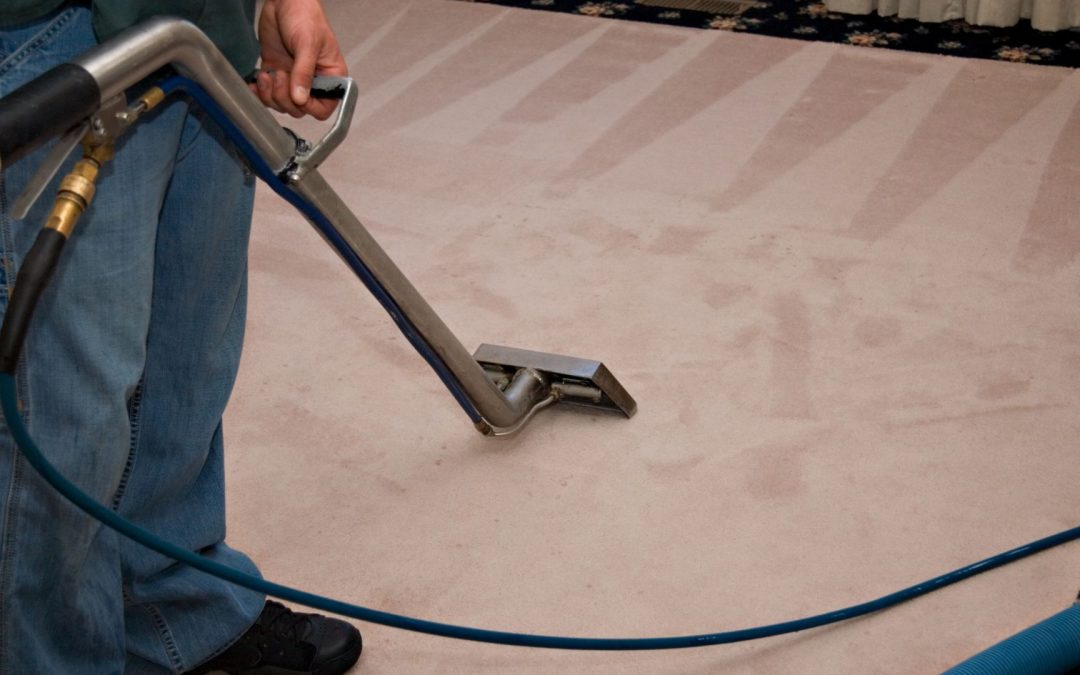 Carpet Stretching and Repair: Fixing Loose, Wrinkled Carpet in Beaverton Homes